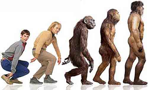 USA evolutions