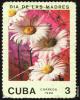 2_cuba_komm-post_t1.jpg