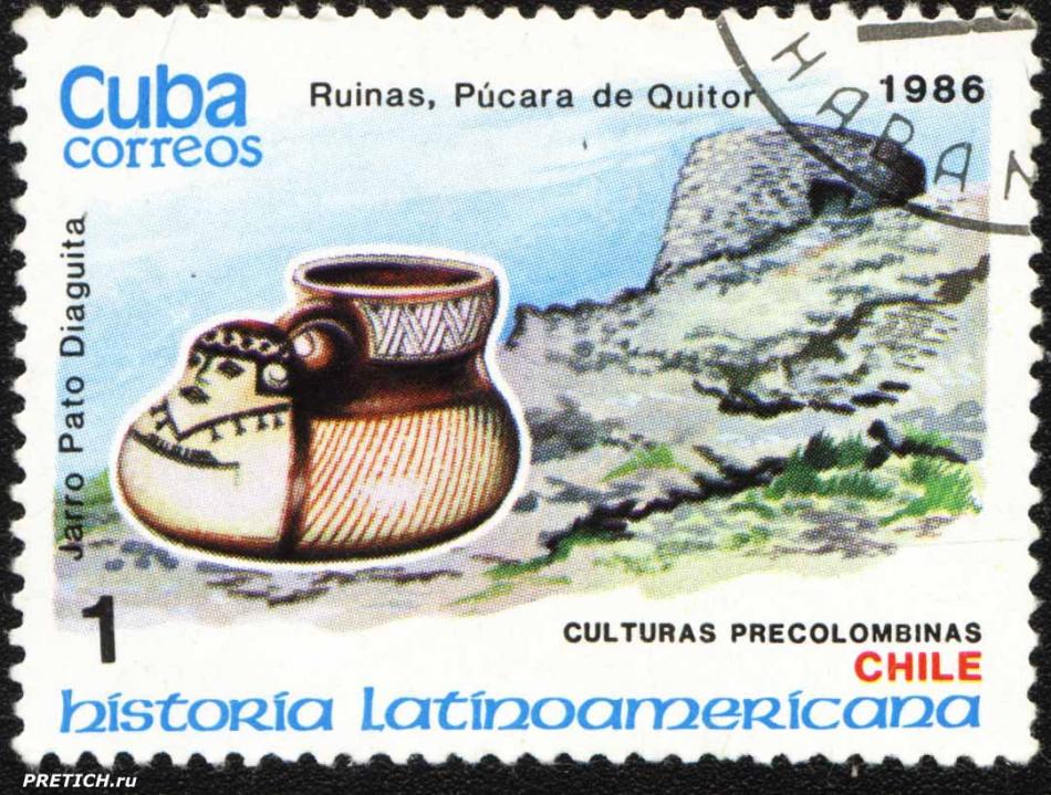 Jarro Pato Diaguita