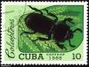 cuba_mark_26_t1.jpg