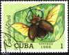 cuba_mark_30_t1.jpg