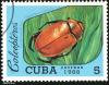 cuba_mark_35_t1.jpg