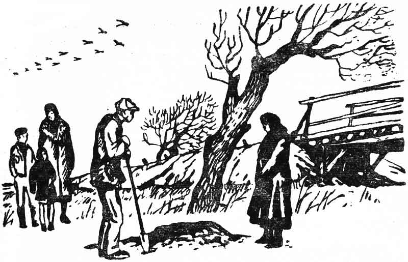 Вельм Пуговица или серебряные часы с ключиком книга
