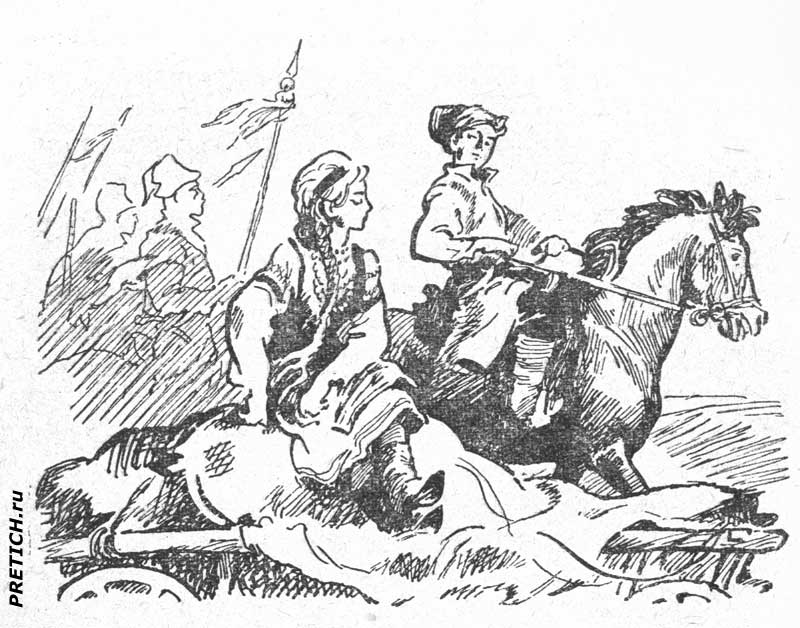 Ясный Стахор, иллюстрации, рисунки